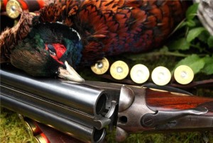 pheasant_shooting