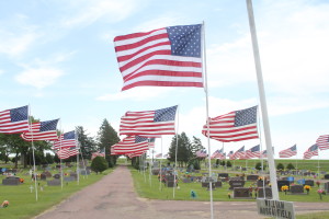 ave of flags